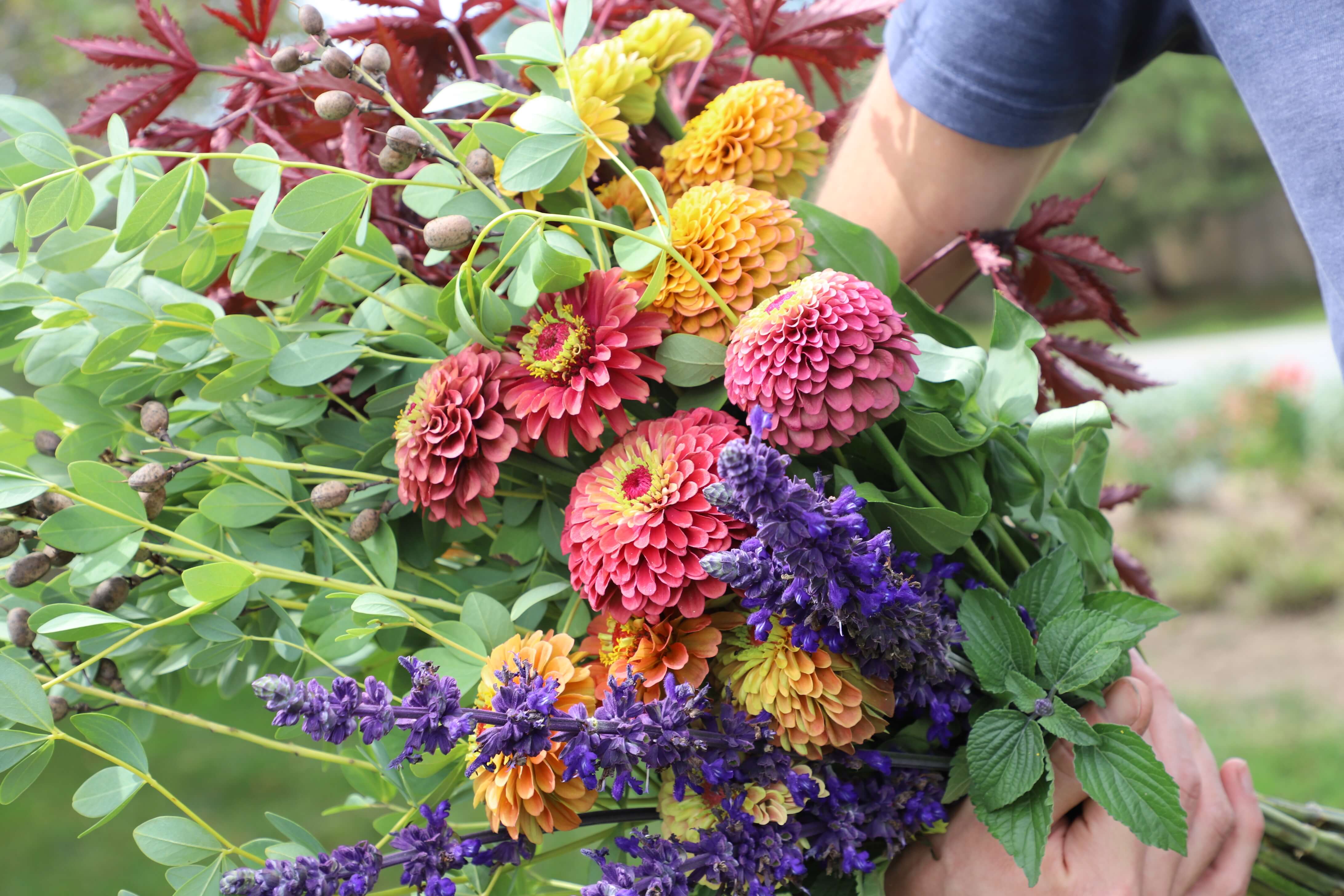 Best Perennials For Cutting Flowers Perennials For A Cut Flower Garden