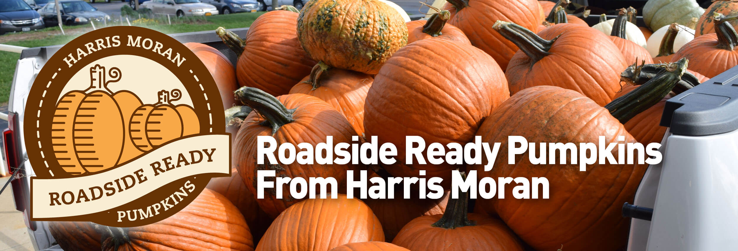 HM Clause Pumpkin Seeds Harris Seeds