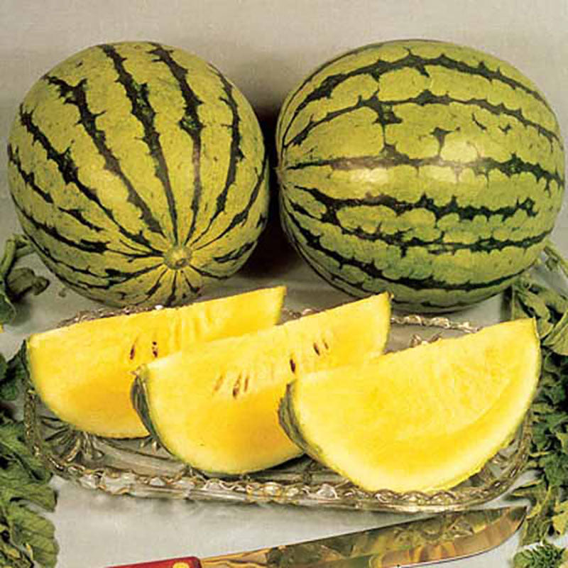 Sweet Yellow Watermelon Seeds For 2025 Season - Annual, Full Sun, Outdoor