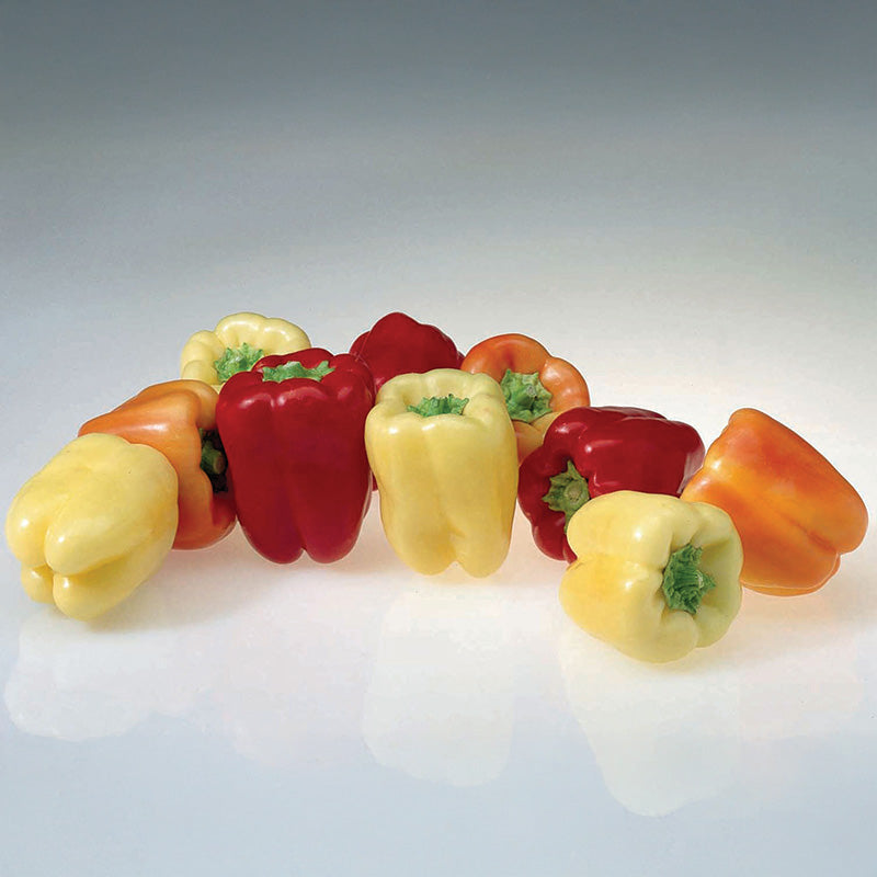 Pepper Flamingo F1 Seed – Harris Seeds