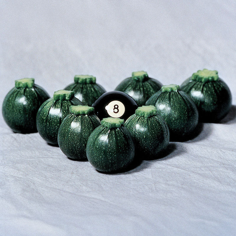 Squash Eight Ball F1 Seed – Harris Seeds