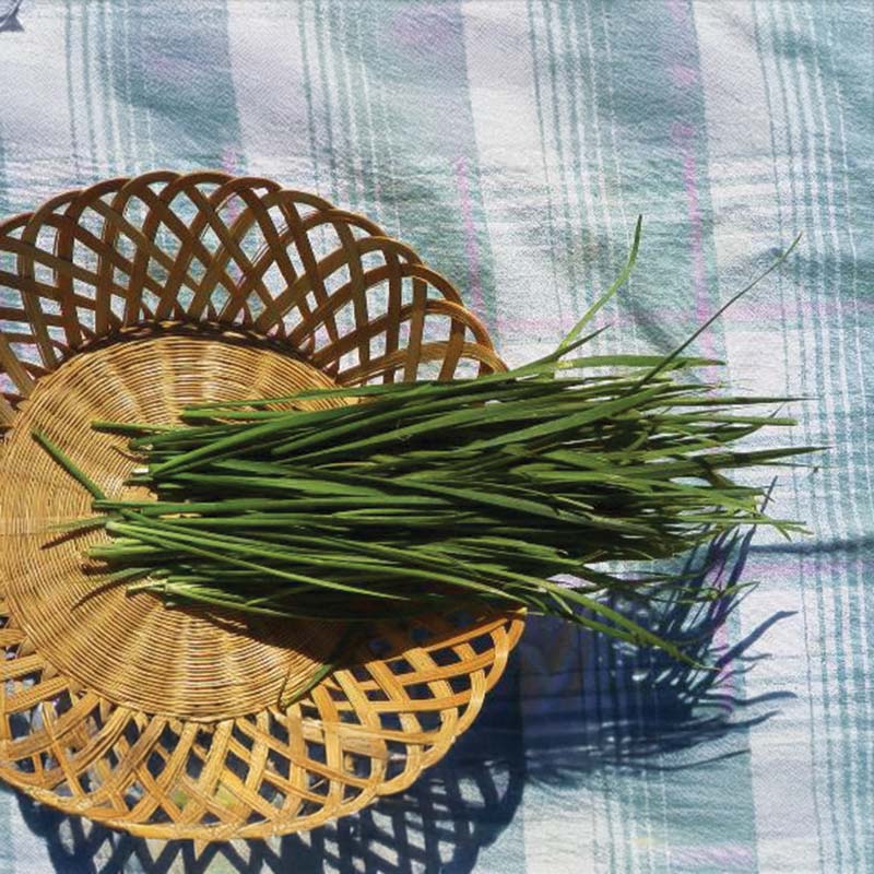 best herbicide for chives Chives Garlic Seed Untreated