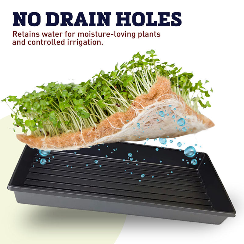 indoor plant watering trays 1020 No Drainage Black Plastic Carrier Trays – Harris Seeds