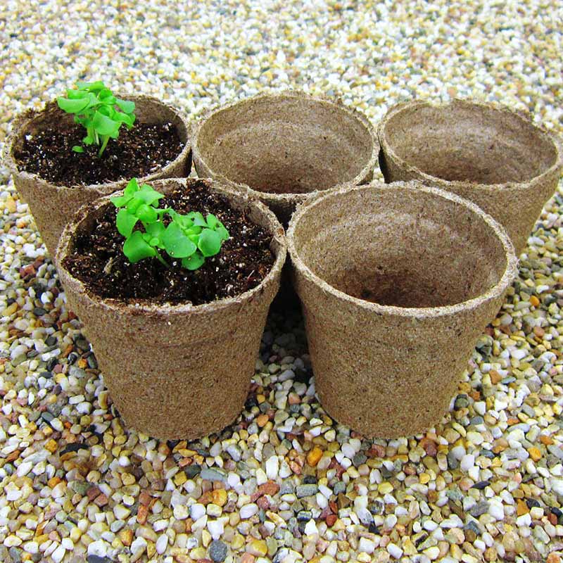 2 pots for plants Jiffy 2-1/4" Round Pots Case of 2816