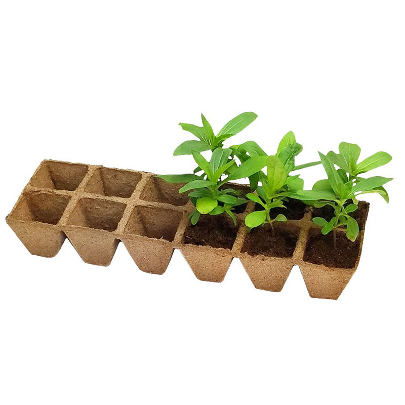 planting seeds in jiffy pots Jiffy 1-3/4" Strips