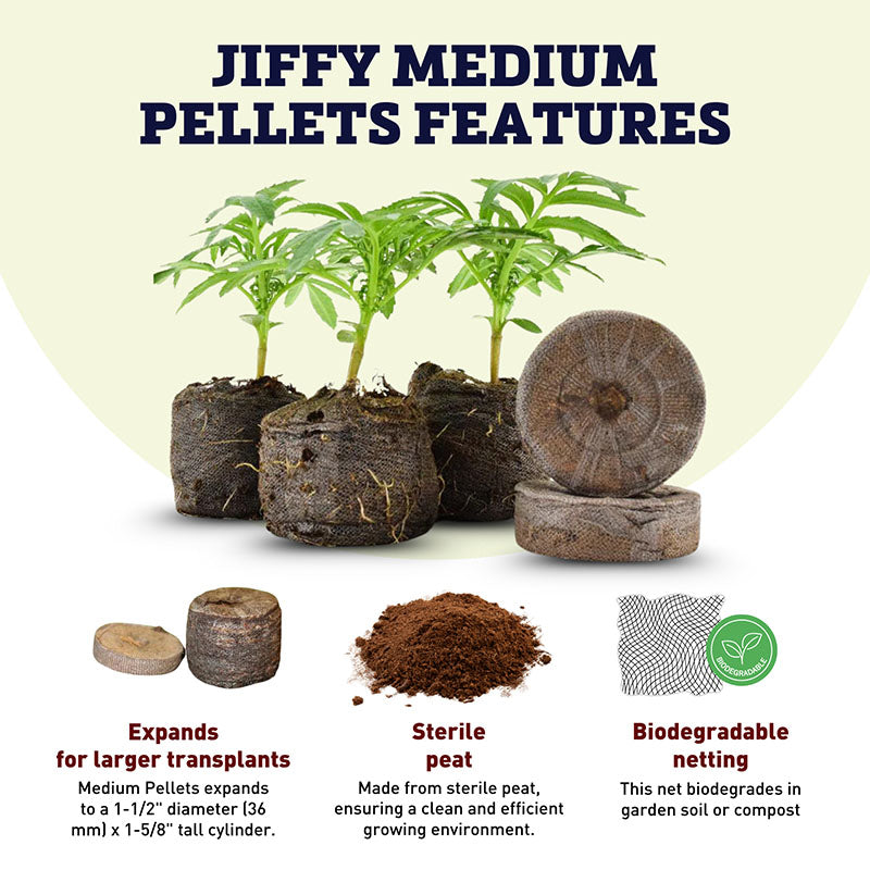planting seeds in jiffy peat pellets Jiffy Medium Pellets