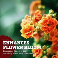 Floralife Crystal Clear Flower Food 5 lb. Pail