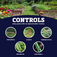 Bt For Caterpillars (Thuricide) 16 oz.