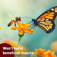 Bt For Caterpillars (Thuricide) 16 oz.