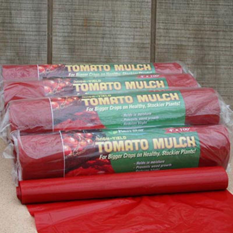 red plastic for tomato plants Red Plastic Mulch 4' x 100'