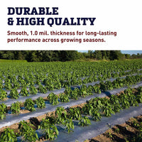 Black Plastic Mulch 3' x 2000'