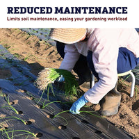 Black Plastic Mulch 3' x 2000'