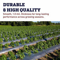 Black Plastic Mulch 5' x 2000'