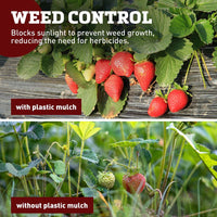 Black Plastic Mulch 5' x 2000'