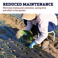 Black Plastic Mulch 5' x 2000'