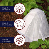 Hotkaps Regular (20)