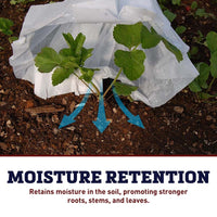 Hotkaps King Size (20)