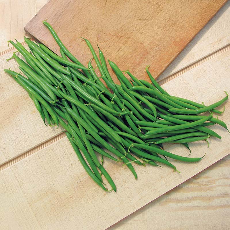 green bean herbicides Bean Lewis Seed RAW / 70,000 seeds / UNTREATED