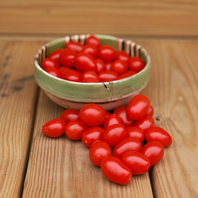 Tomato Smarty F1 Seed – Harris Seeds