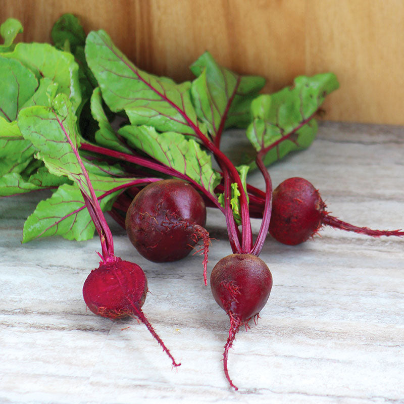 red beet herbicides Beet Detroit Dark Red Seed