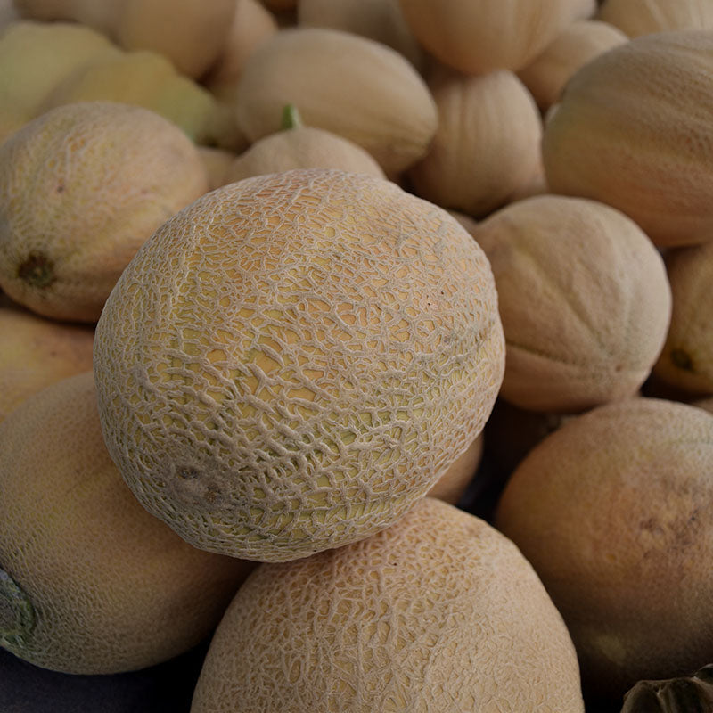 MYPLOTEIN　EAA  1kg  melon MYPLOTEIN EAA 1kg melon 【公式通販】