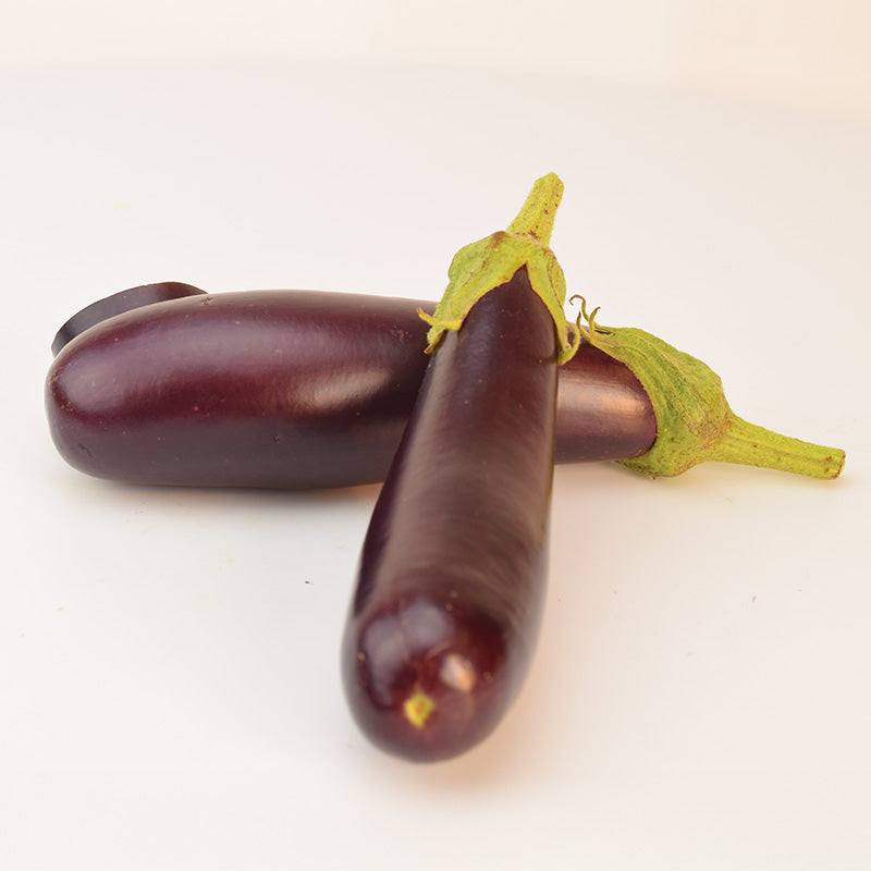 Eggplant Hansel F1 Seed Untreated