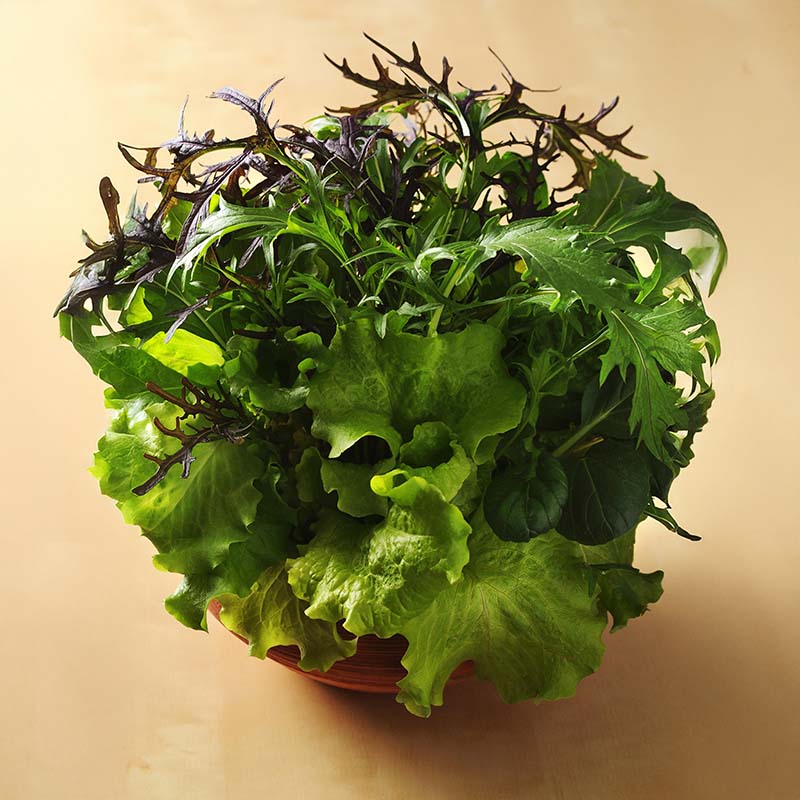 Simply Salad Global Gourmet Mix Seed – Harris Seeds