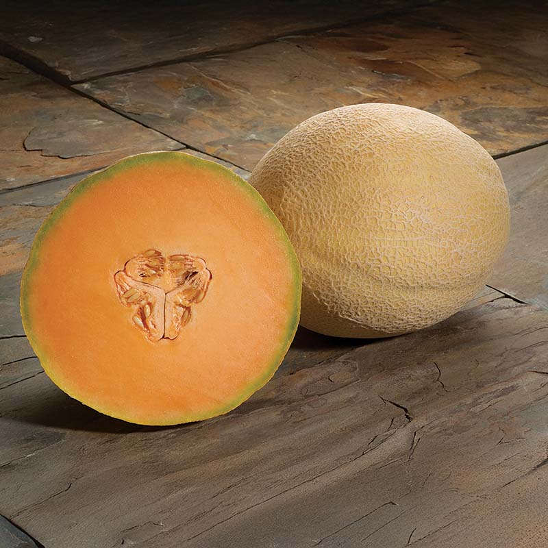 atlantis herbicide price Harris Seeds, Melon Atlantis F1 TREATED / 250 Seeds