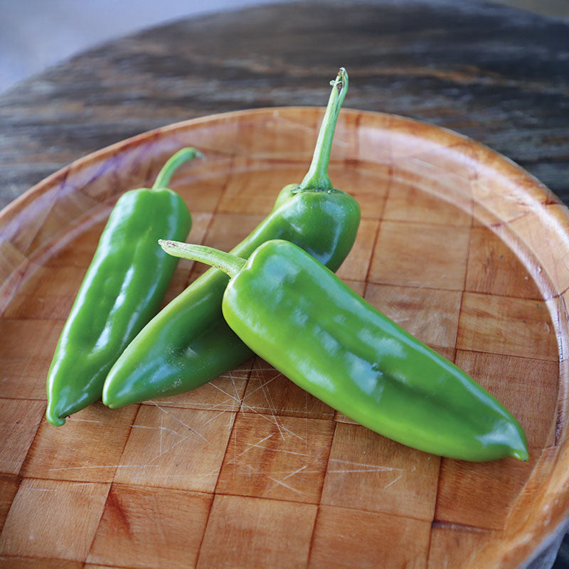 Pepper Chile G76 F1 Seed – Harris Seeds