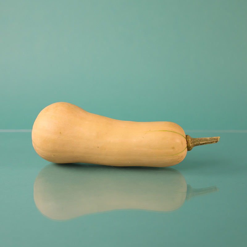 avalon herbicide Squash Avalon F1 Seed FILM COATED / 250 seeds / FARMORE