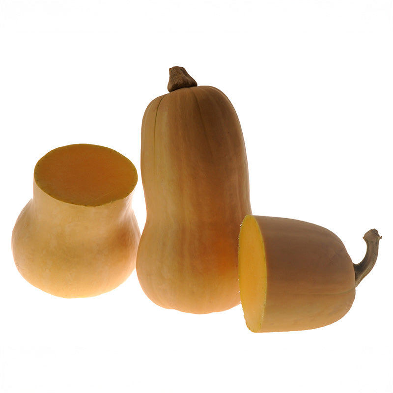 avalon herbicide Squash Avalon F1 Seed FILM COATED / 250 seeds / FARMORE