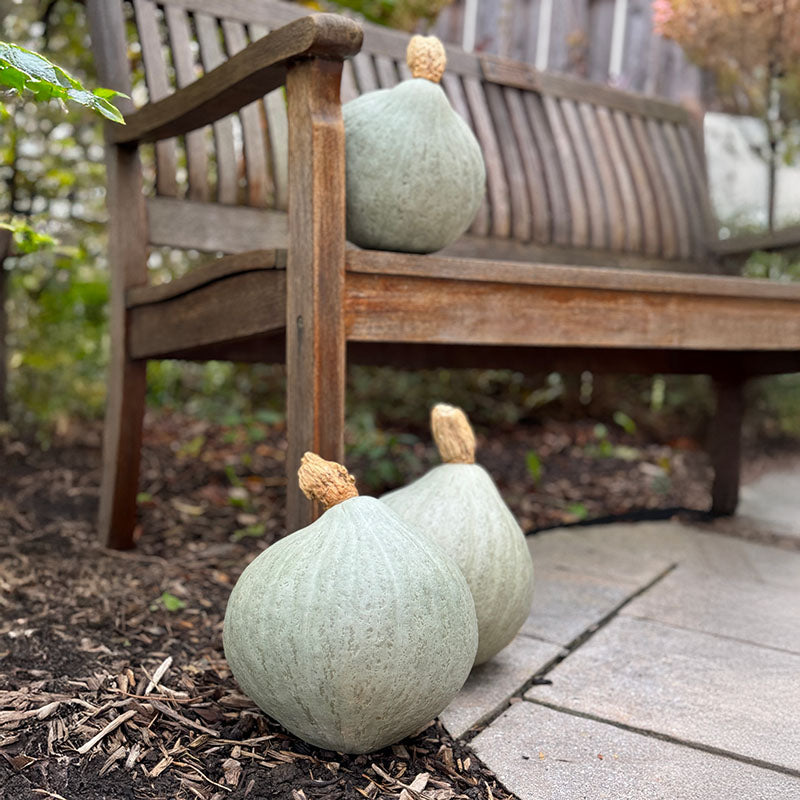 Squash Blue Magic F1 Seed – Harris Seeds