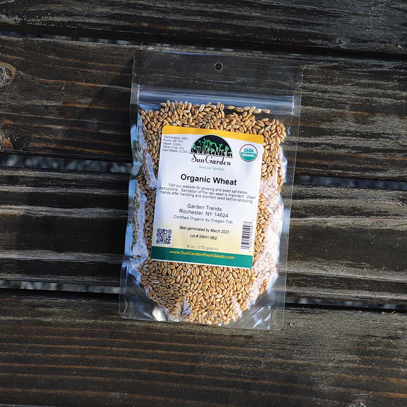 harris seeds garden trends Wheat Sprouts Organic Seeds