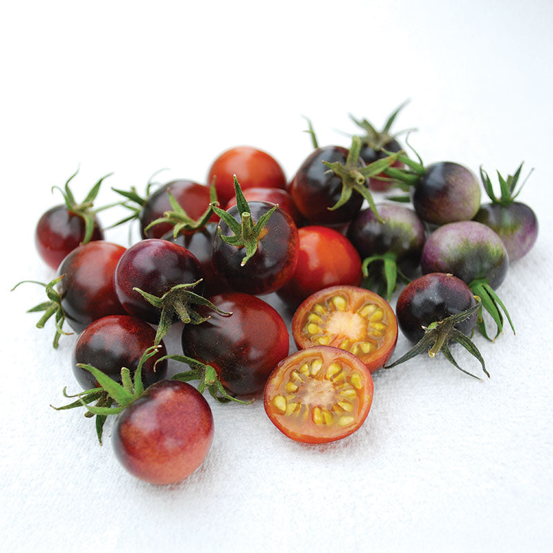 Tomato Indigo™ Blue Berries Organic Seed – Harris Seeds