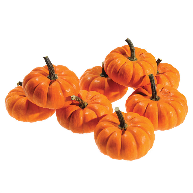 mini pumpkin seeds for planting Pumpkin Seeds - Jill-Be-Little
