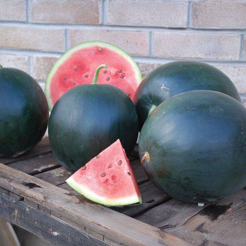 post herbicide for watermelons Watermelon Black Tail Mountain Organic Seed Organic
