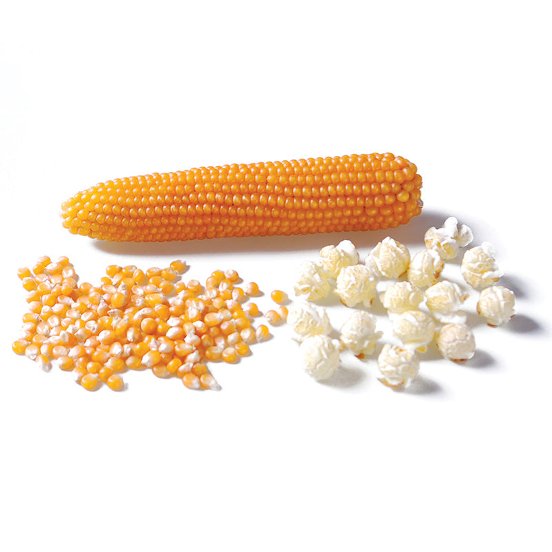 popcorn herbicides Popcorn Gourmet Mushroom F1 Seed STANDARD / 10,000 Seeds / Treated