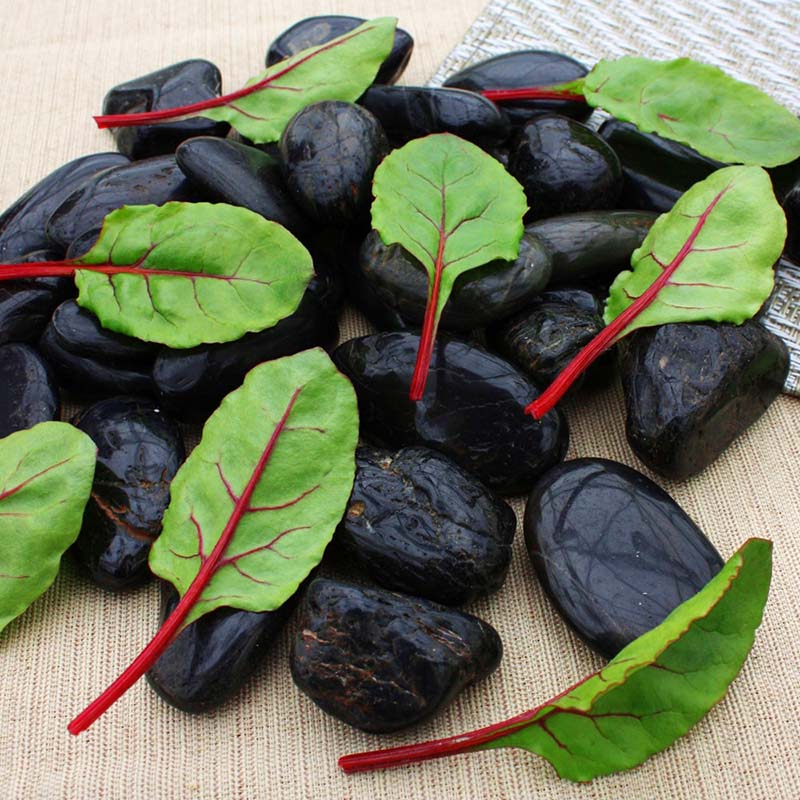 Beet Greens Fresh Pak Seed RAW / 10,000 Seeds / UNTREATED
