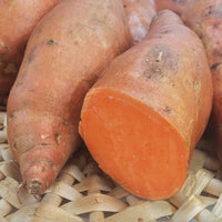 Sweet Potato Beauregard