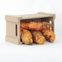 Sweet Potato Centennial