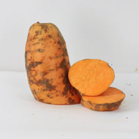 Sweet Potato Centennial