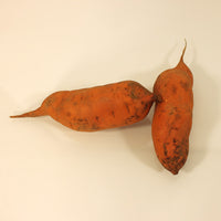 Sweet Potato Centennial