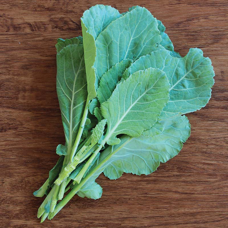 Collard Top Bunch 2.0 F1 Seed – Harris Seeds