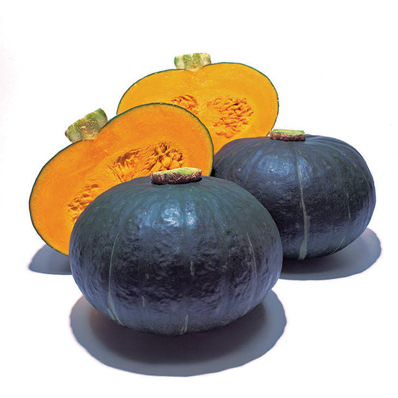Squash Sweet Mama F1 Seed – Harris Seeds