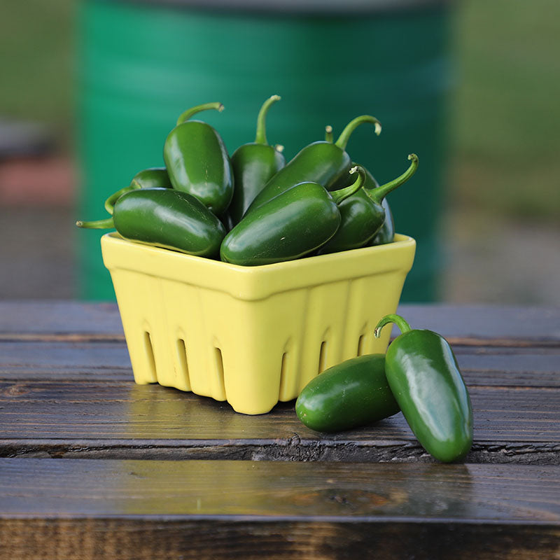 Pepper Bambino F1 Seed – Harris Seeds