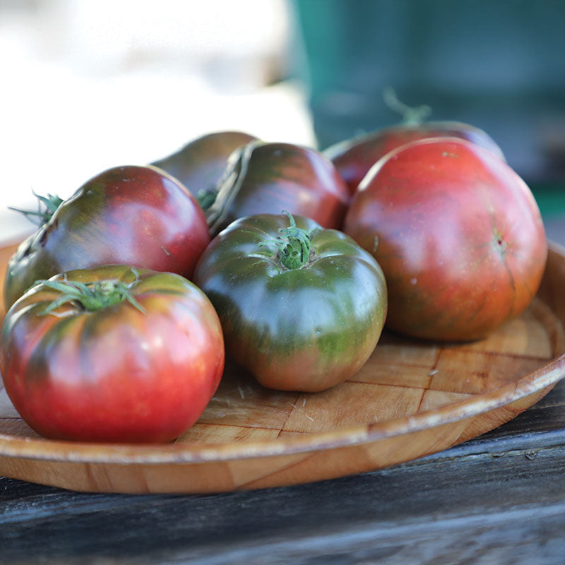 Tomato Medusa F1 Organic Seed – Harris Seeds