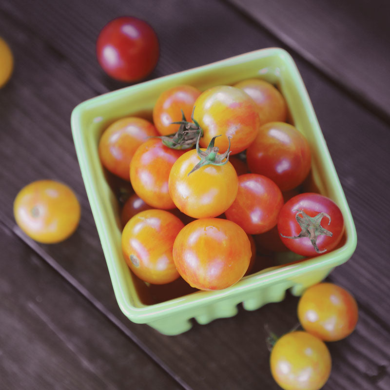 Tomato Tropical Sunset Organic Seed – Harris Seeds