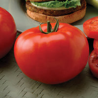 Tomato Big Beef Plus F1 Seed