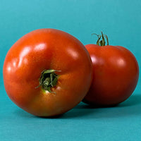 Tomato Big Beef Plus F1 Seed
