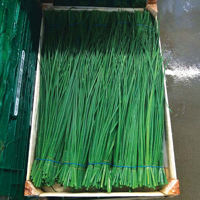 chive herbicide Harris Seeds - Chive Nelly Organic Variety Seeds